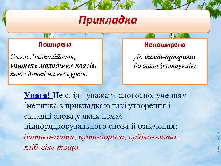 Прикладка Поширена Непоширена Євген Анатолійович, учитель молодших класів, повіз дітей на екскурсію До тест-програми