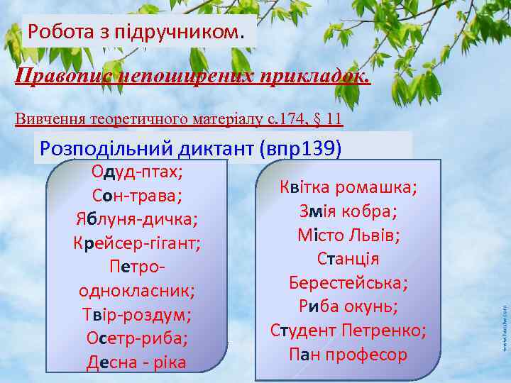 Робота з підручником. Правопис непоширених прикладок. Вивчення теоретичного матеріалу с. 174, § 11 Розподільний