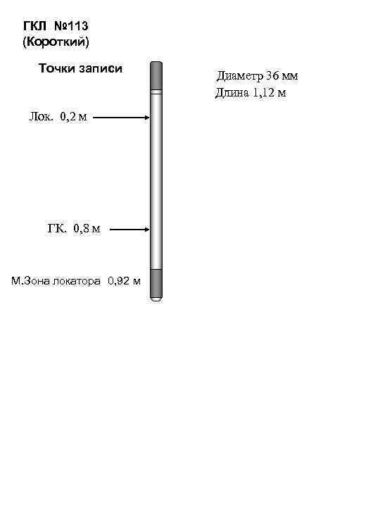 ГКЛ № 113 (Короткий) Точки записи Лок. 0, 2 м ГК. 0, 8 м