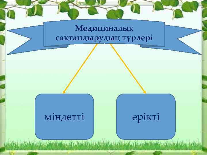 Медициналық сақтандырудың түрлері міндетті ерікті 