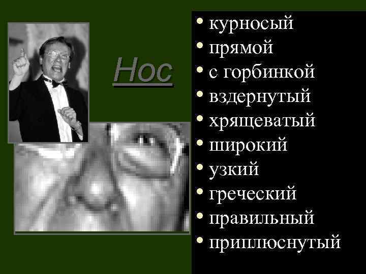 Нос • курносый • прямой • с горбинкой • вздернутый • хрящеватый • широкий
