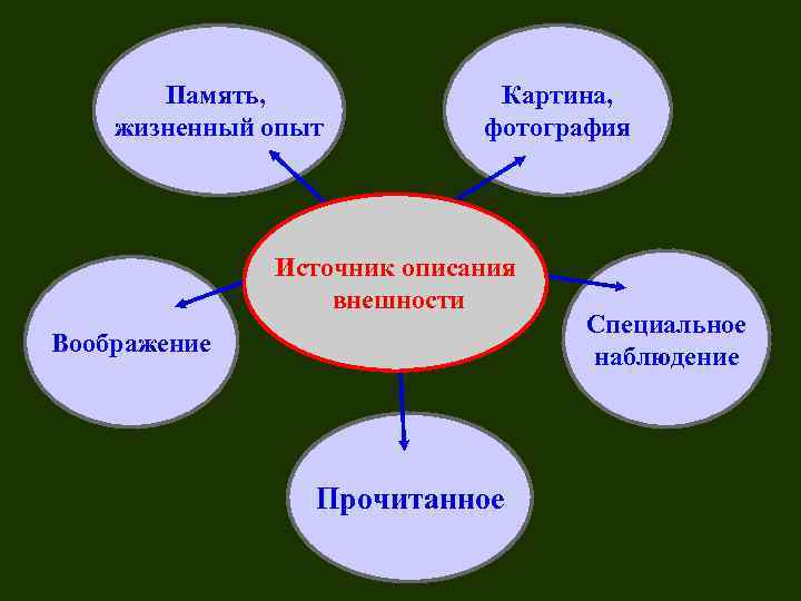 Память, жизненный опыт Картина, фотография Источник описания внешности Воображение Прочитанное Специальное наблюдение 