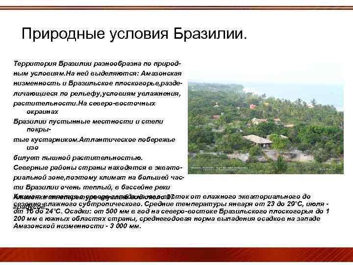 Природные условия Бразилии. Территория Бразилии разнообразна по природным условиям. На ней выделяются: Амазонская низменность