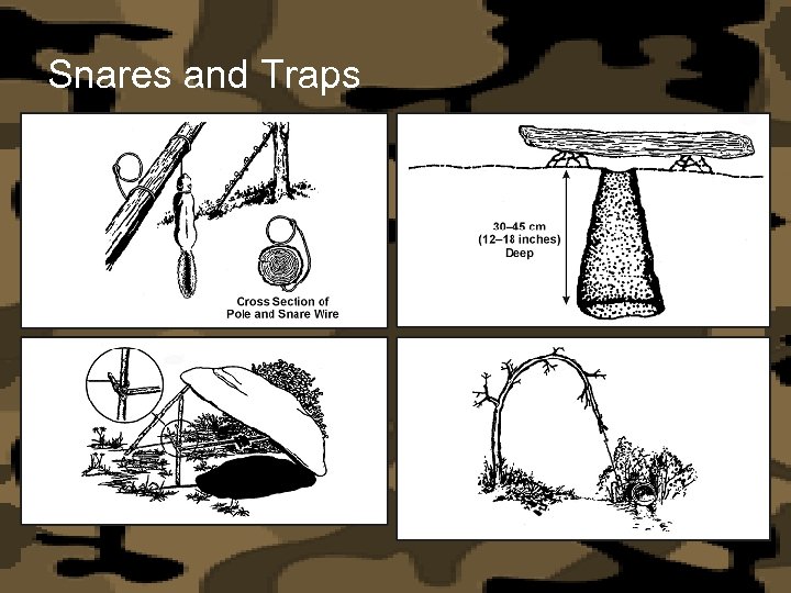 Snares and Traps 