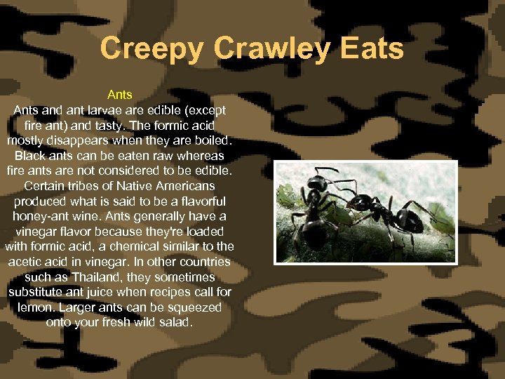 Creepy Crawley Eats Ants and ant larvae are edible (except fire ant) and tasty.
