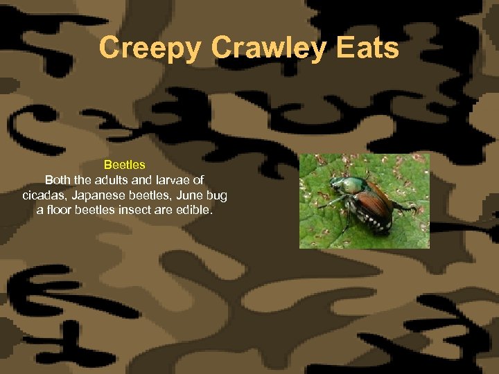 Creepy Crawley Eats Beetles Both the adults and larvae of cicadas, Japanese beetles, June