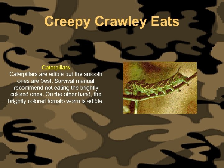 Creepy Crawley Eats Caterpillars are edible but the smooth ones are best. Survival manual