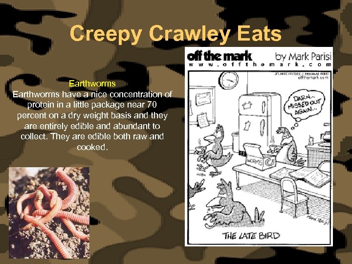 Creepy Crawley Eats Earthworms have a nice concentration of protein in a little package