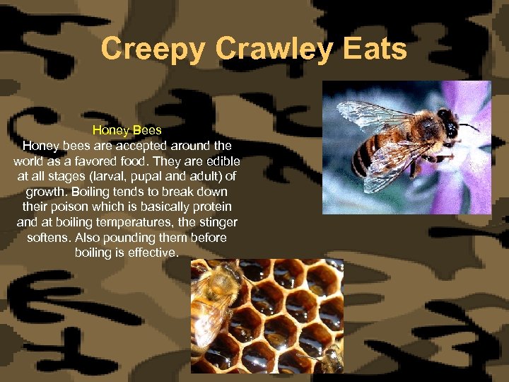 Creepy Crawley Eats Honey Bees Honey bees are accepted around the world as a