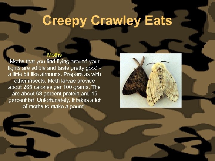 Creepy Crawley Eats Moths that you find flying around your lights are edible and