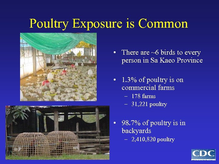 Poultry Exposure is Common • There are ~6 birds to every person in Sa