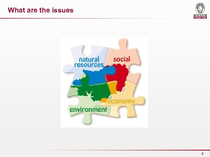 What are the issues 6 