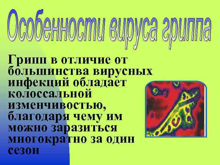 Грипп в отличие от большинства вирусных инфекций обладает колоссальной изменчивостью, благодаря чему им можно