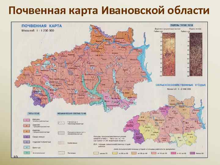 Почвенная карта Ивановской области 