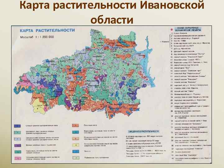 Карта растительности Ивановской области 