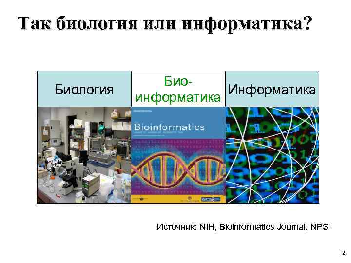 Биология и информатика