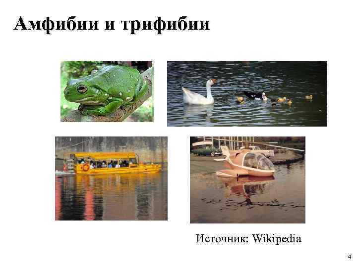 Амфибии и трифибии Источник: Wikipedia 4 