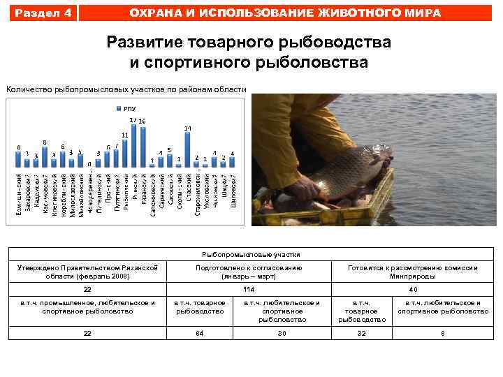 Раздел 4 ОХРАНА И ИСПОЛЬЗОВАНИЕ ЖИВОТНОГО МИРА Развитие товарного рыбоводства и спортивного рыболовства Количество