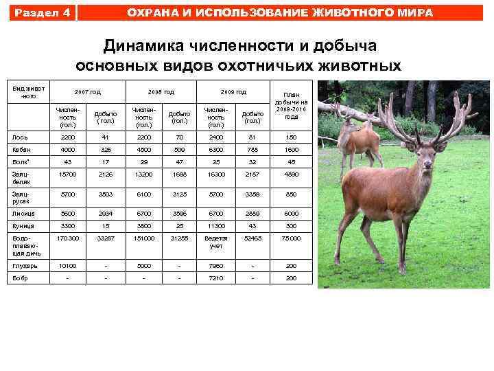 Раздел 4 ОХРАНА И ИСПОЛЬЗОВАНИЕ ЖИВОТНОГО МИРА Динамика численности и добыча основных видов охотничьих