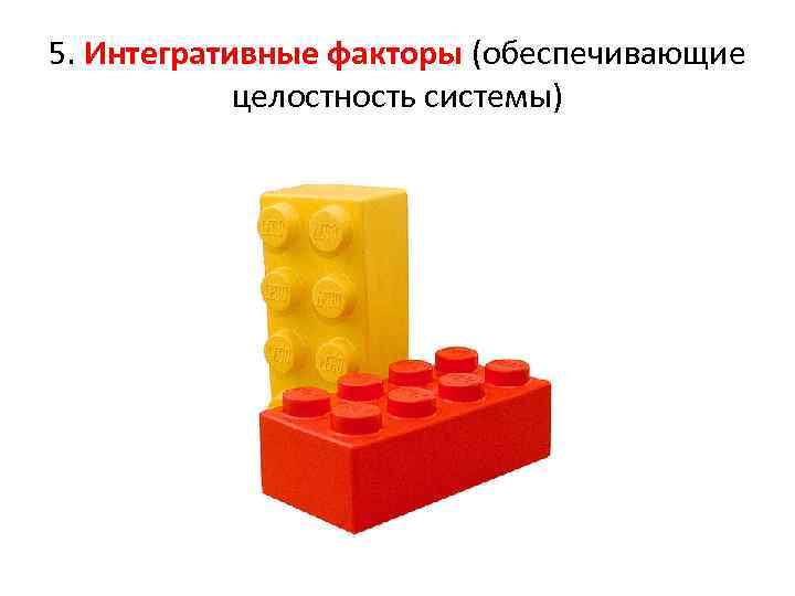 5. Интегративные факторы (обеспечивающие целостность системы) 