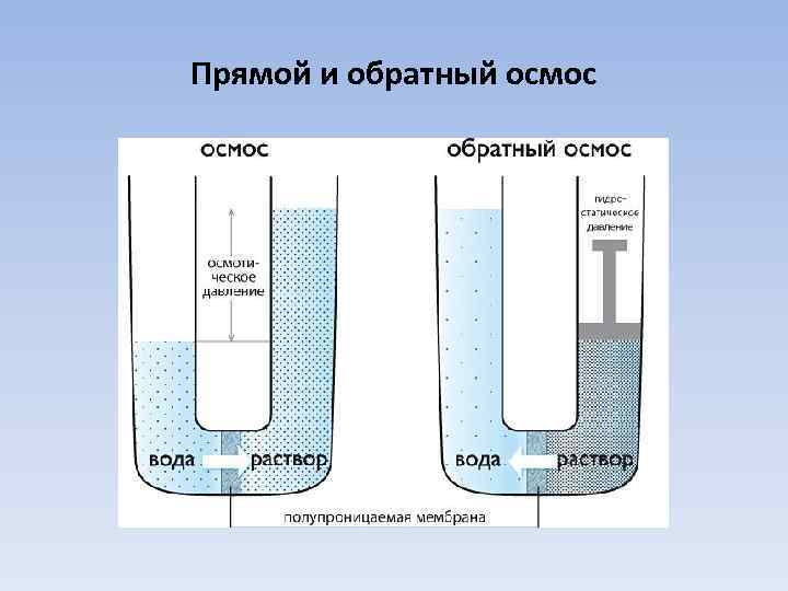 Прямой и обратный осмос 