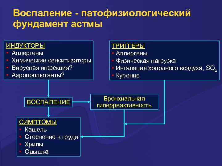 Воспаление - патофизиологический фундамент астмы ИНДУКТОРЫ • Аллергены • Химические сенситизаторы • Вирусная инфекция?