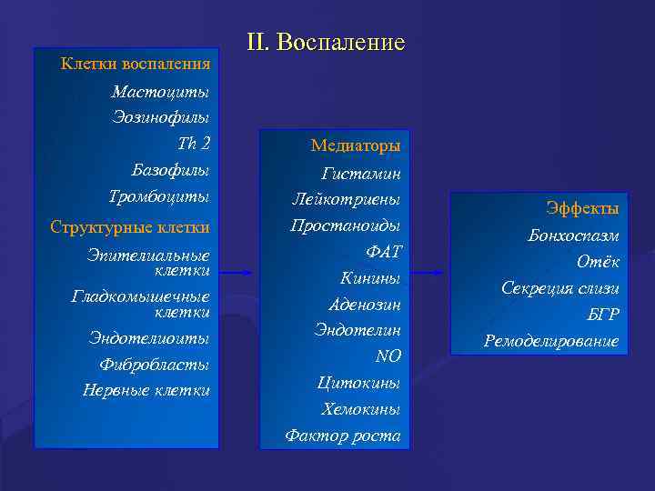Клетки воспаления Мастоциты Эозинофилы Th 2 Базофилы Тромбоциты Структурные клетки Эпителиальные клетки Гладкомышечные клетки