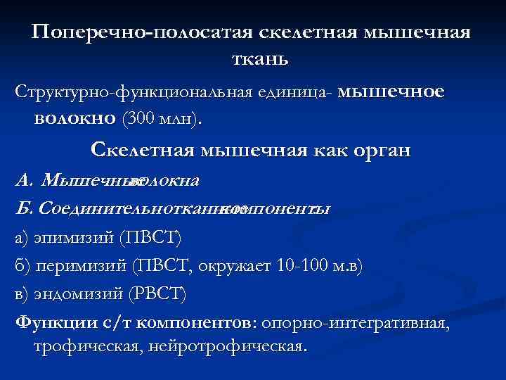 Поперечно-полосатая скелетная мышечная ткань Структурно-функциональная единица- мышечное волокно (300 млн). Скелетная мышечная как орган