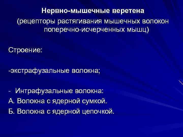 Нервно-мышечные веретена (рецепторы растягивания мышечных волокон поперечно-исчерченных мышц) Строение: -экстрафузальные волокна; - Интрафузальные волокна: