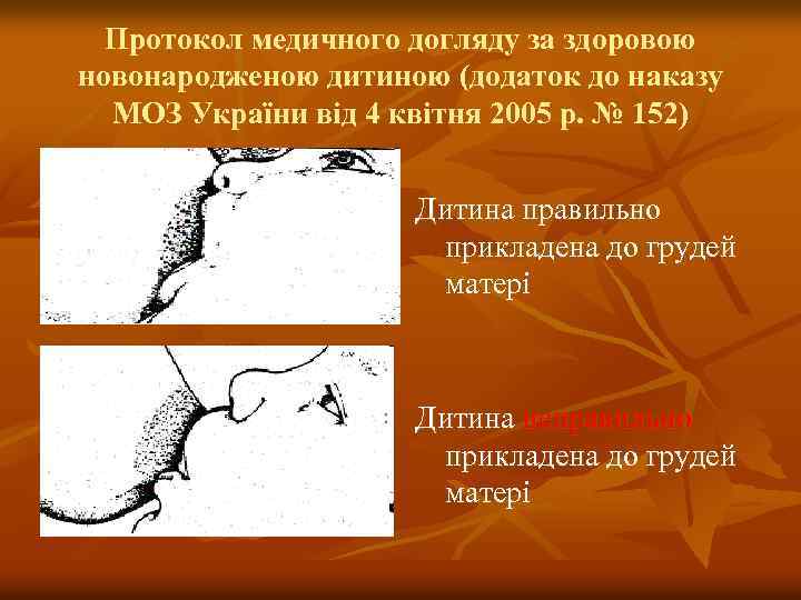 Протокол медичного догляду за здоровою новонародженою дитиною (додаток до наказу МОЗ України від 4