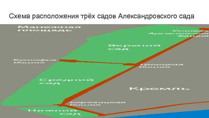 Схема расположения трёх садов Александровского сада 