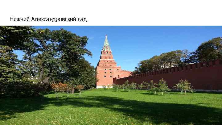 Нижний Александровский сад 