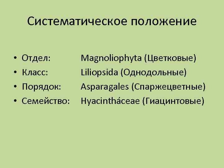 Систематическое положение • • Отдел: Класс: Порядок: Семейство: Magnoliophyta (Цветковые) Liliopsida (Однодольные) Asparagales (Спаржецветные)