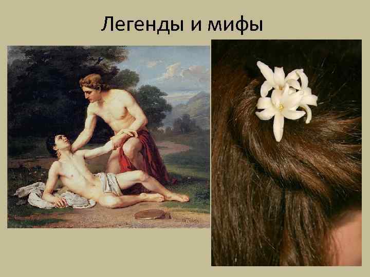 Легенды и мифы 