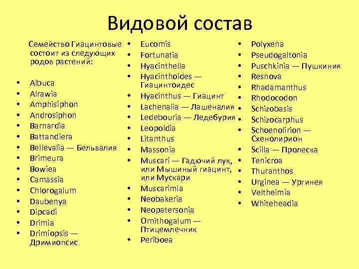 Видовой состав • • • • Семейство Гиацинтовые • состоит из следующих • родов