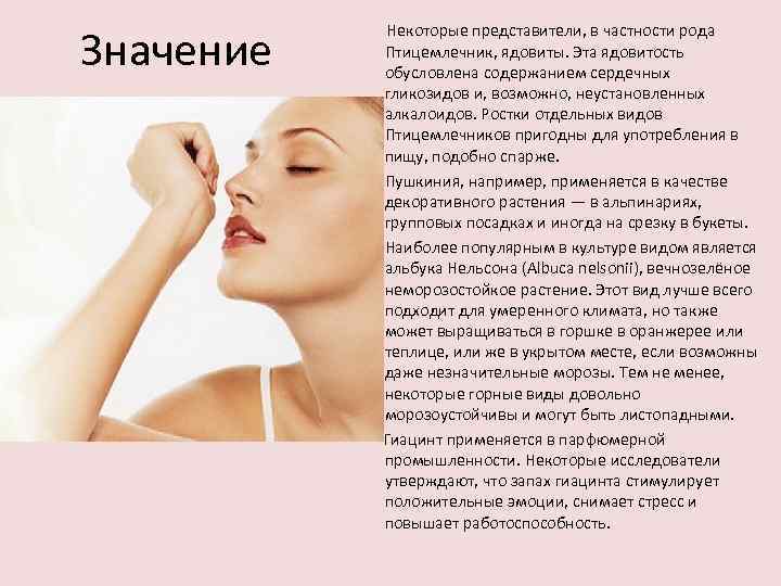 Значение • • Некоторые представители, в частности рода Птицемлечник, ядовиты. Эта ядовитость обусловлена содержанием