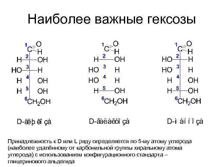 Наиболее важные гексозы Принадлежность к D или L ряду определяется по 5 -му атому