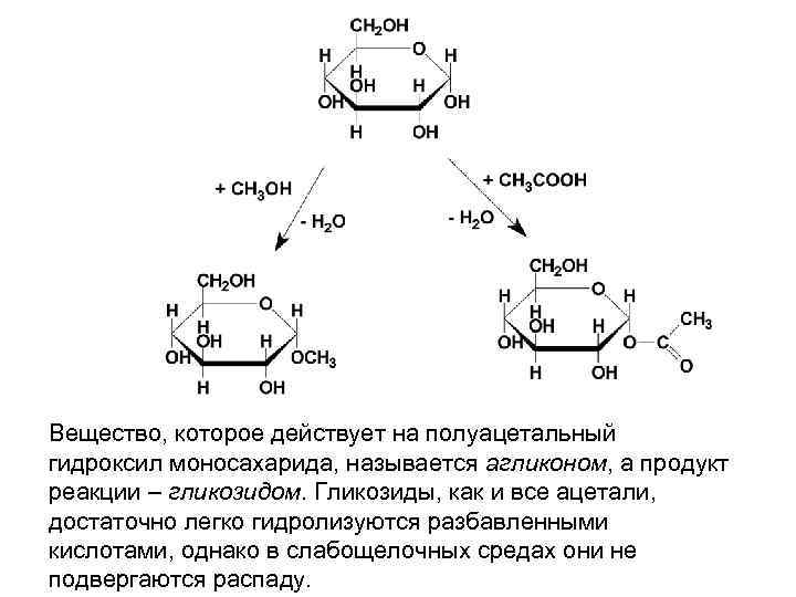 Вещество, которое действует на полуацетальный гидроксил моносахарида, называется агликоном, а продукт реакции – гликозидом.