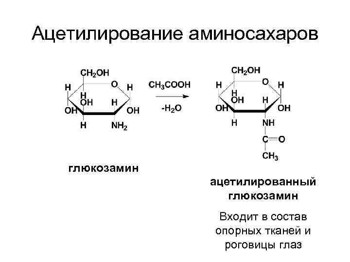 Ацетилирование аминосахаров глюкозамин ацетилированный глюкозамин Входит в состав опорных тканей и роговицы глаз 