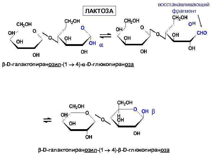 ЛАКТОЗА восстанавливающий фрагмент H -D-галактопиранозил-(1 4)- -D-глюкопираноза 