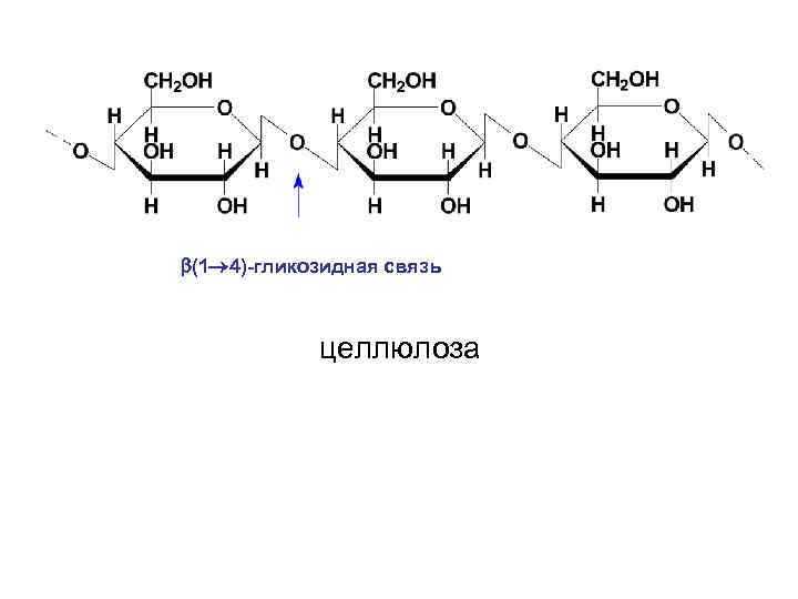  (1 4)-гликозидная связь целлюлоза 