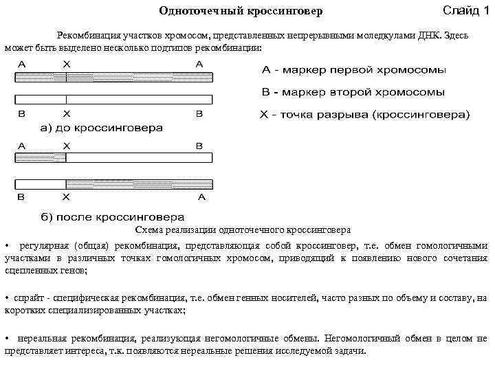 Одноточечный кроссинговер Слайд 1 Рекомбинация участков хромосом, представленных непрерывными моледкулами ДНК. Здесь может быть