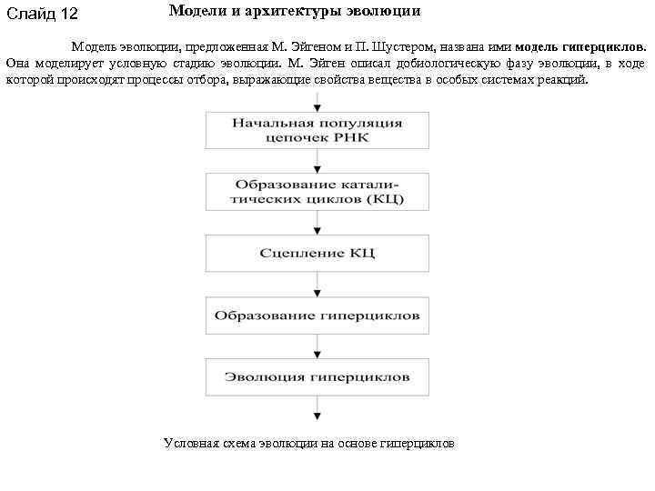 Слайд 12 Модели и архитектуры эволюции Модель эволюции, предложенная М. Эйгеном и П. Шустером,