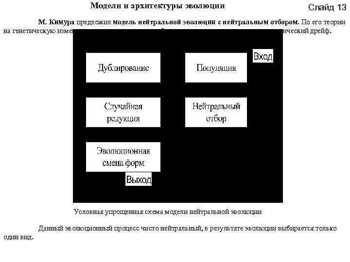 Модели и архитектуры эволюции Слайд 13 М. Кимура предложил модель нейтральной эволюции с нейтральным