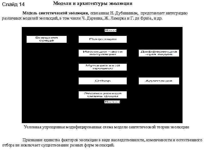 Слайд 14 Модели и архитектуры эволюции Модель синтетической эволюции, описанная Н. Дубининым, представляет интеграцию