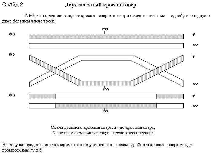 Двухточечный унисон схема