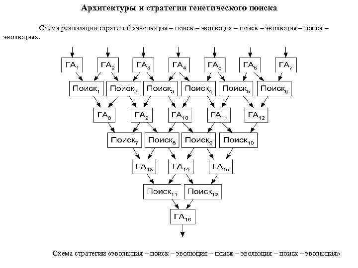 Архитектуры и стратегии генетического поиска Схема реализации стратегий «эволюция – поиск – эволюция» .
