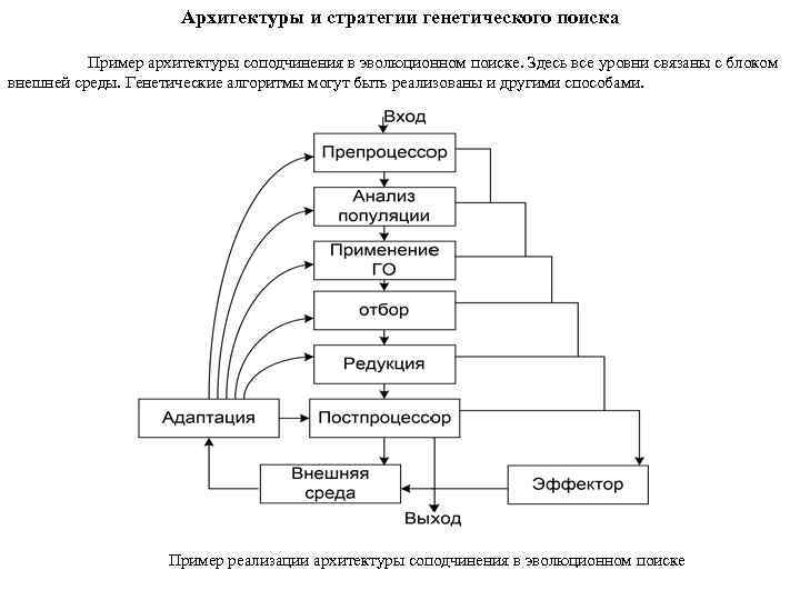 Архитектуры и стратегии генетического поиска Пример архитектуры соподчинения в эволюционном поиске. Здесь все уровни