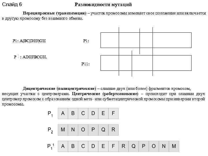 Слайд 6 Разновидности мутаций Нереципрокные (транспозиции) – участок хромосомы изменяет свое положение или включается