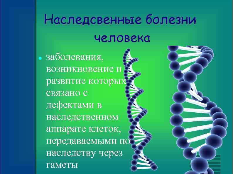 Наследсвенные болезни человека заболевания, возникновение и развитие которых связано с дефектами в наследственном аппарате